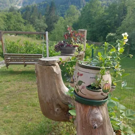Appartement Apartmaji Katrc