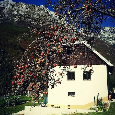 Appartement Apartmaji Katrc Soča