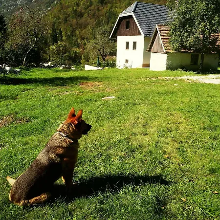 Apartmaji Katrc Appartamento