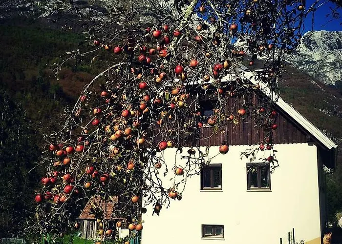 Apartmán Apartmaji Katrc Soča