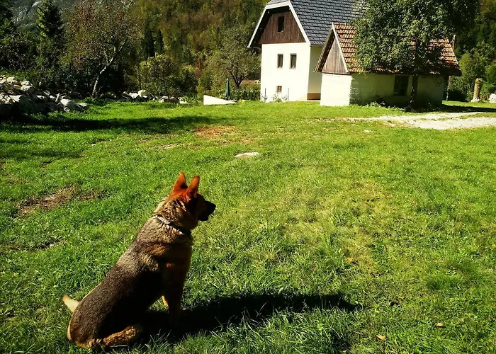 Apartmaji Katrc Apartmán